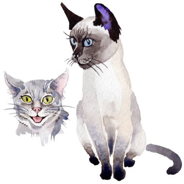 Kedi vahşi hayvan izole bir suluboya tarzında.