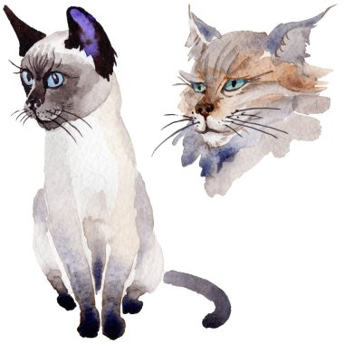 Kedi vahşi hayvan izole bir suluboya tarzında.