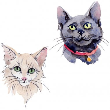 Kedi vahşi hayvan izole bir suluboya tarzında.