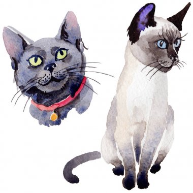 Kedi vahşi hayvan izole bir suluboya tarzında.