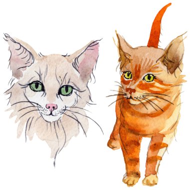 Kedi vahşi hayvan izole bir suluboya tarzında.