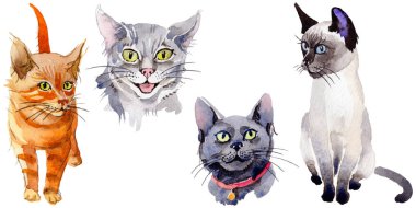 Kedi vahşi hayvan izole bir suluboya tarzında.