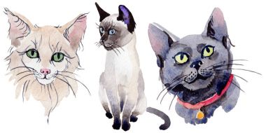 Kedi vahşi hayvan izole bir suluboya tarzında.