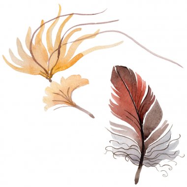 Suluboya kuş tüyü izole kanat üzerinden.