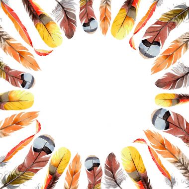 Suluboya kuş kanat tüy çerçevesinden.