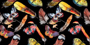 Suluboya kuş tüyü desen Wing.