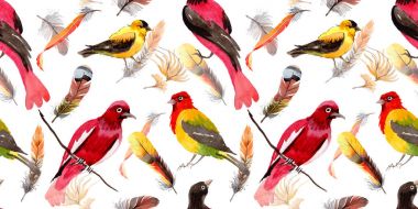 Suluboya kuş tüyü desen Wing.