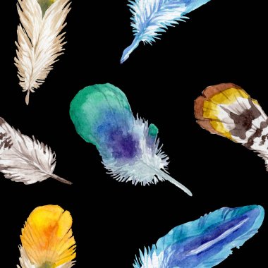 Suluboya kuş tüyü izole kanat üzerinden.