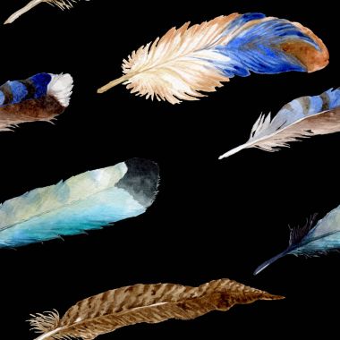 Suluboya kuş tüyü izole kanat üzerinden.