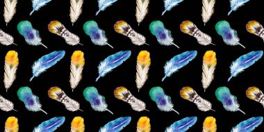 Suluboya kuş tüyü izole kanat üzerinden.