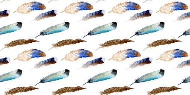 Suluboya kuş tüyü izole kanat üzerinden.