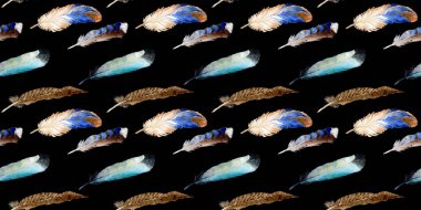 Suluboya kuş tüyü izole kanat üzerinden.