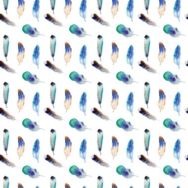 Suluboya kuş tüyü izole kanat üzerinden.