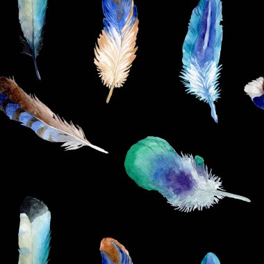 Suluboya kuş tüyü izole kanat üzerinden.