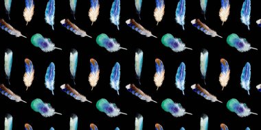 Suluboya kuş tüyü izole kanat üzerinden.