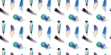 Suluboya kuş tüyü izole kanat üzerinden.