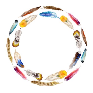 Suluboya kuş tüyü izole kanat üzerinden.