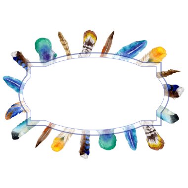 Suluboya kuş tüyü izole kanat üzerinden.