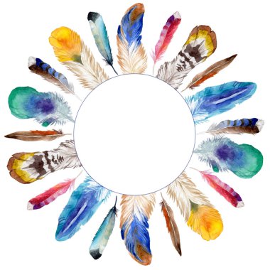 Suluboya kuş tüyü izole kanat üzerinden.