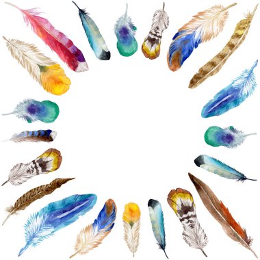 Suluboya kuş tüyü izole kanat üzerinden.