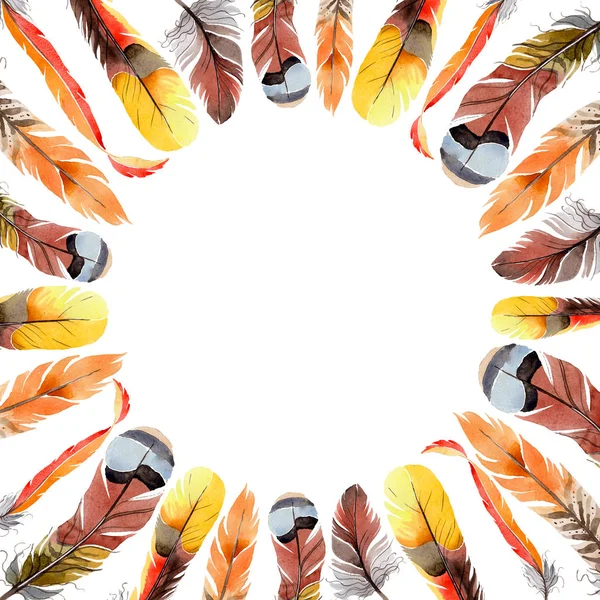 Suluboya kuş kanat tüy çerçevesinden.