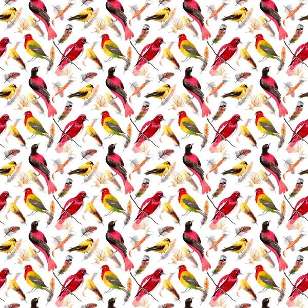 Suluboya kuş tüyü desen Wing.