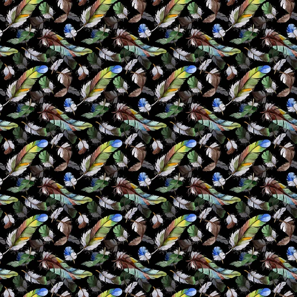 Watercolor bird feather pattern from wing.