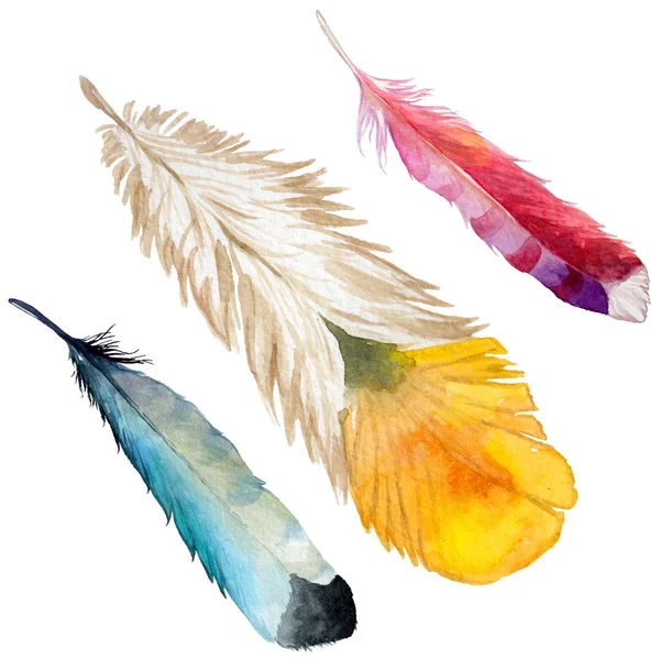 Watercolor bird feather from wing isolated. — Stock Photo, Image