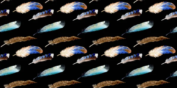 Suluboya kuş tüyü izole kanat üzerinden.