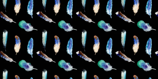 Suluboya kuş tüyü izole kanat üzerinden.