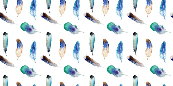 Suluboya kuş tüyü izole kanat üzerinden.