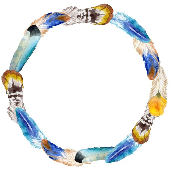 Suluboya kuş tüyü izole kanat üzerinden.