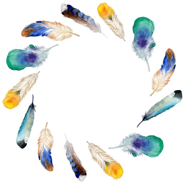 Watercolor bird feather from wing isolated. — Stock Photo, Image