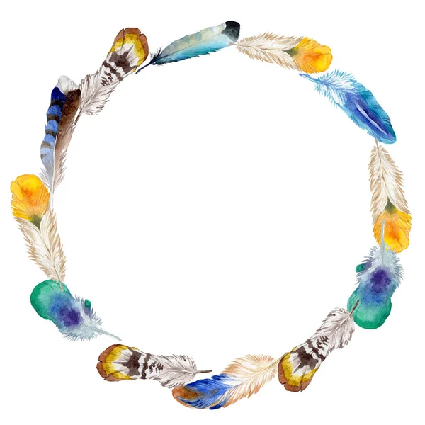 Suluboya kuş tüyü izole kanat üzerinden.