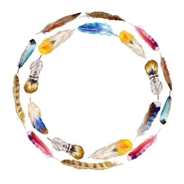 Suluboya kuş tüyü izole kanat üzerinden.