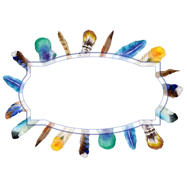 Suluboya kuş tüyü izole kanat üzerinden.