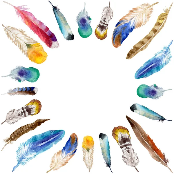 Suluboya kuş tüyü izole kanat üzerinden.