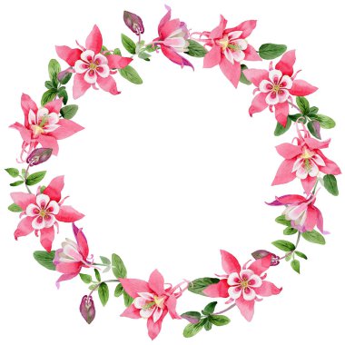 Kır çiçeği aquilegia çiçek çelenk suluboya tarzında.