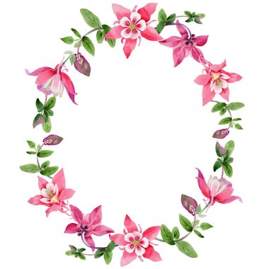 Kır çiçeği aquilegia çiçek çelenk suluboya tarzında.