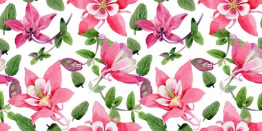 Kır çiçeği aquilegia çiçek deseni suluboya tarzında.