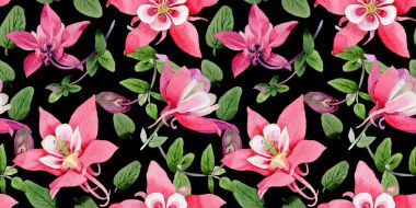 Kır çiçeği aquilegia çiçek deseni suluboya tarzında.