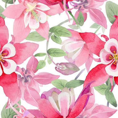 Kır çiçeği aquilegia çiçek deseni suluboya tarzında.