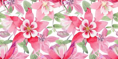 Kır çiçeği aquilegia çiçek deseni suluboya tarzında.