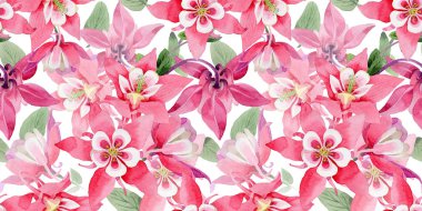 Kır çiçeği aquilegia çiçek deseni suluboya tarzında.