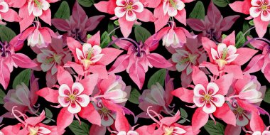 Kır çiçeği aquilegia çiçek deseni suluboya tarzında.