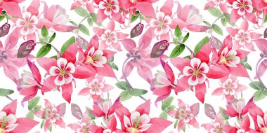 Kır çiçeği aquilegia çiçek deseni suluboya tarzında.