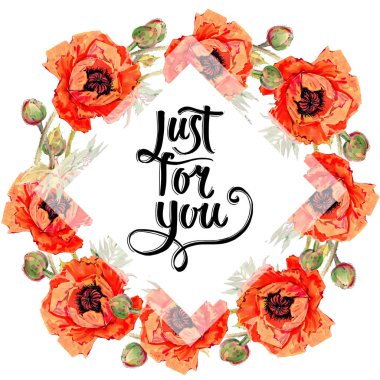 Kır çiçeği haşhaş çiçek çerçeve suluboya tarzında.