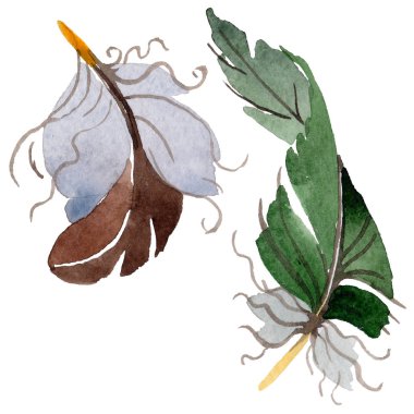 Suluboya kuş tüyü izole kanat üzerinden.