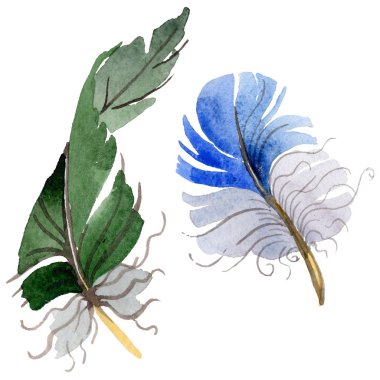 Suluboya kuş tüyü izole kanat üzerinden.