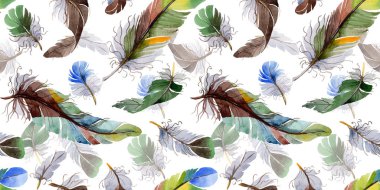 Suluboya kuş tüyü desen Wing.